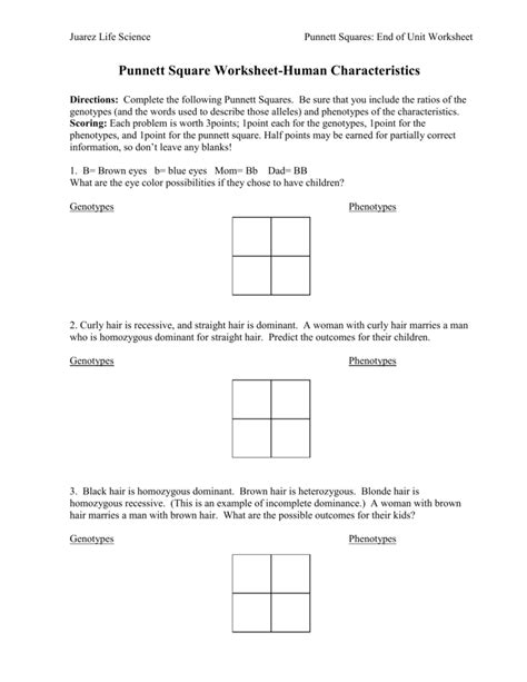 punnett square practice problems worksheet
